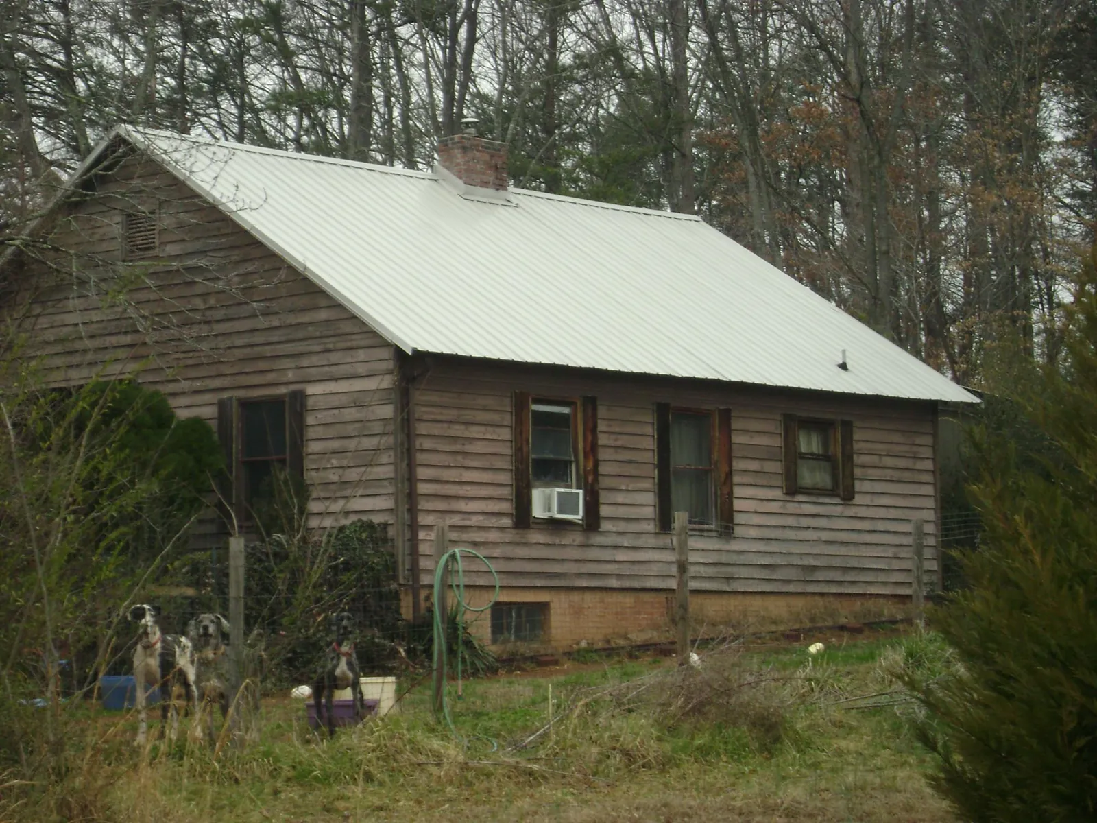 White metal roof on an old wood sided farmhouse, from a Asphalt Shingle Roof Repair job in Markleton